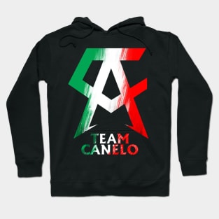 the winner of team canelo alvarez Hoodie